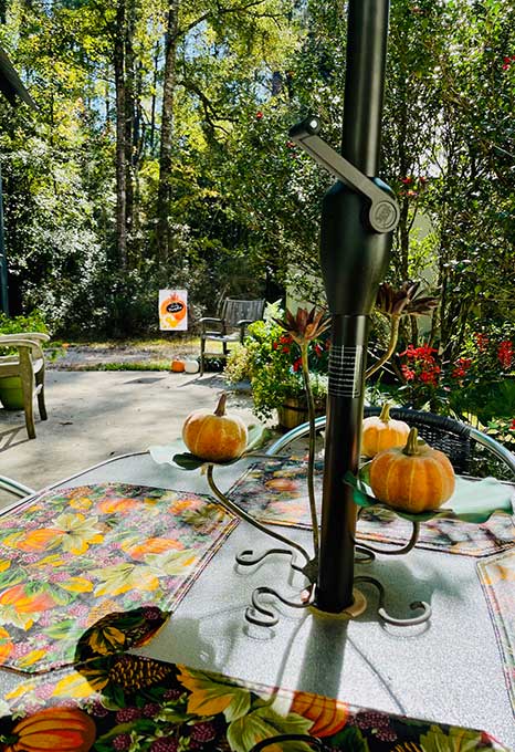 The Fern Cottage patio during Fall color.