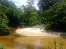 View of the sugar white beach on the Bogue Falaya River.